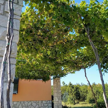 Beautiful With A Dreamlike Garden And Pool * Labin (Istria)