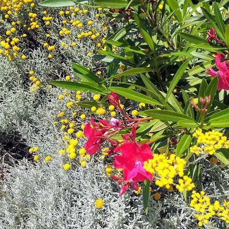 Beautiful With A Dreamlike Garden And Pool Апартаменты Лабин