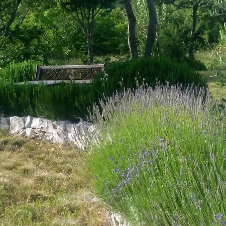 Апартаменты Beautiful With A Dreamlike Garden And Pool
